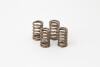 Hot Cams Valve Spring Kit, Boxed, ea, 1