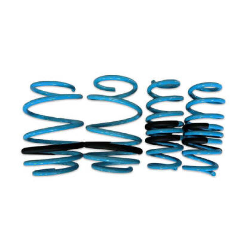 BLOX Racing Lowering Springs 96-00 Honda Civic
