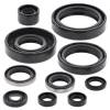 Vertex Gaskets 98-05 Kawasaki KX125 Oil Seal Kit