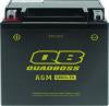 QuadBoss Maintenance-Free AGM Battery QBX14-FA