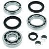 QuadBoss 2002 Polaris ATV Pro 500 4x4 PPS Rear Differential Bearing & Seal Kit
