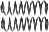 Moog 99-04 Volkswagen Golf 2.0L / 00-05 Volkswagen Jetta 2.0L Rear Coil Spring Set