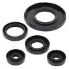 Vertex Gaskets 1995 Ski-Doo Formula MX Z 454 Oil Seal Kit