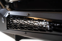 Photo - Close Up