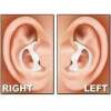 Rugged Radios Rubber Ear Mold Sample Kit Right Ear