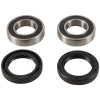 Pivot Works 95-97 Honda CR125R - Front Wheel Bearing Kit