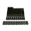 Wagner Tuning 06-10 Volkswagen Passat B6 3.6L R36 Burnished Head Stud Set