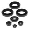 Vertex Gaskets 99-05 Arctic Cat 250 2x4 Oil Seal Kit