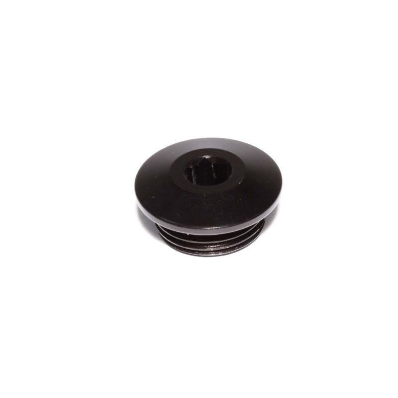 Edelbrock ALUMINUM PORT PLUG, -12AN