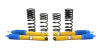 H&R 91-05 Acura NSX Sport Cup Kit