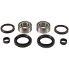 Pivot Works 00-06 Honda TRX350FE - Front Wheel Bearing Kit