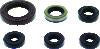 QuadBoss Oil Seal Set