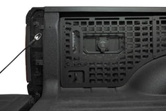 Photo - Close Up