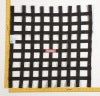 RaceQuip Black 24 X 24 SFI Ribbon Net