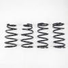 RS-R 2015 Ford Mustang EcoBoost Down Sus Springs