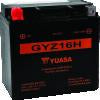 Yuasa GYZ16H High Performance Maintenance Free AGM 12-Volt Battery