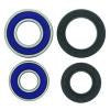 QuadBoss 06-09 Arctic Cat 250 2x4 Front ATV Wheel Bearing & Seal Kit