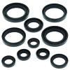 QuadBoss Oil Seal Set
