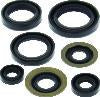 QuadBoss Oil Seal Set
