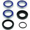 QuadBoss 97-01 Honda TRX250 FourTrax Recon Rear ATV Wheel Bearing & Seal Kit