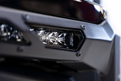 Photo - Close Up