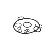 Peterson Fluid Systems O-Ring Rebuild Kit Dual Return Micron Tank