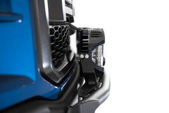 Photo - Close Up