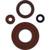 Vertex Pistons 23-24 Commander 700 DPS/Commander 700 XT Engine Oil Seal Kit