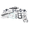 Vertex Polaris Complete Engine Rebuild Kit