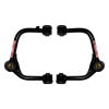 Skyjacker Suspension 2-3 In Upper A-Arm Pair w/HD Ball Joints + Bushings 2021 Ford F150 4WD Crew Cab