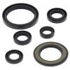 Vertex Gaskets 06-23 Yamaha YFM700R Raptor Oil Seal Kit