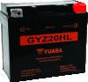 Yuasa GYZ20HL High Performance Maintenance Free AGM 12-Volt Battery