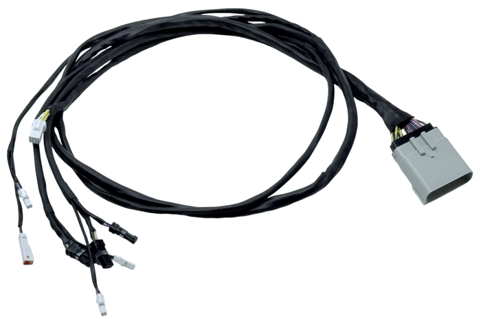 User 1