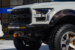 Photo - Close Up