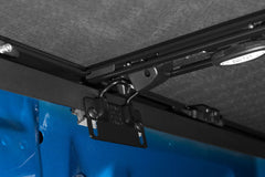Photo - Close Up