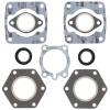 Vertex Gaskets 1976 Polaris Starfire Complete Gasket Kit w/ Oil Seals
