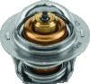 QuadBoss 17-19 Polaris ACE 500 Thermostat