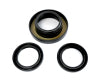 EPI 02-08 Honda 400-500 Foreman/ Rubicon Rear Differential Seal Kit