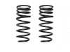 ICON 2025 Toyota 4Runner .75in Rear Dual Rate Coil Spring Kit