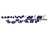 SuperPro Alfa Romeo Spider 105 Bushing Kit