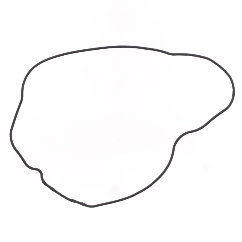 Athena 95-03 Honda TRX 400 FW Generator Side Gasket
