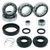 QuadBoss 15-19 Honda TRX420FA FourTrax Rancher 4x4 AT IRS Front Differential Bearing & Seal Kit