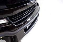 Photo - Close Up