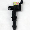 Granatelli 05-10 Ford 4.6L/5.4L 3V OEM Coil Packs - Black (Single)