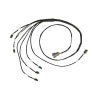 Haltech 8 Channel Individual High Output IGN-1A Inductive Coil to GM LS V8 Adaptor Sub-Harness