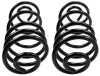 MOOG 73-81 Buick Century Rear Coil Springs