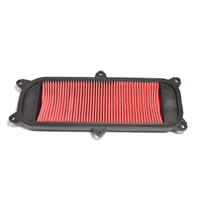 Athena 03-04 KYMCO 4T 250 Air Filter
