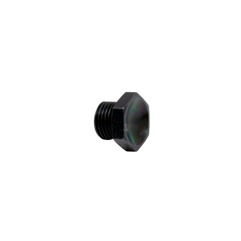 AEM High Volume Fuel Rail Port Plug