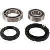 Pivot Works 00-05 Yamaha YFM35FX Wolverine Rear Wheel Bearing Kit