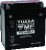 Yuasa YTX16-BS-1 Maintenance Free AGM 12-Volt Battery w/Bottle